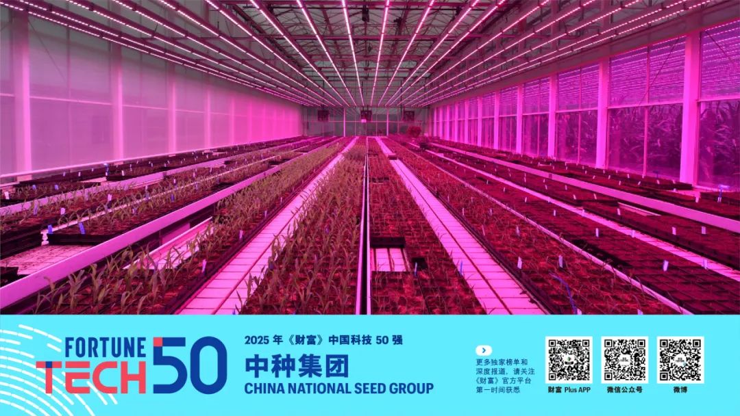 》中国科技50强2025年《财富(图11)