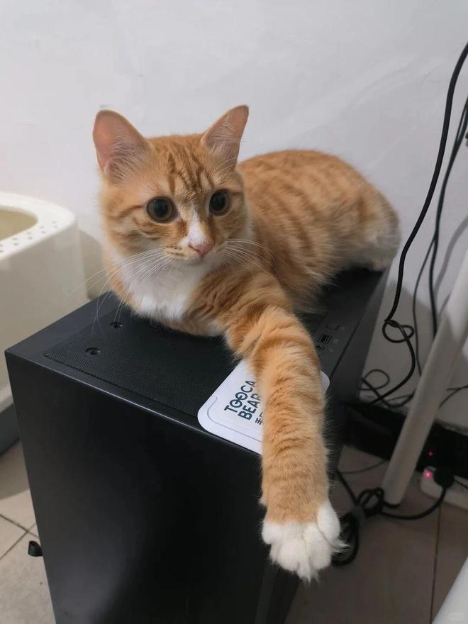 宝~超多改造妙招等你来拿！扔掉的“湿巾盖子”原来是个(图32)